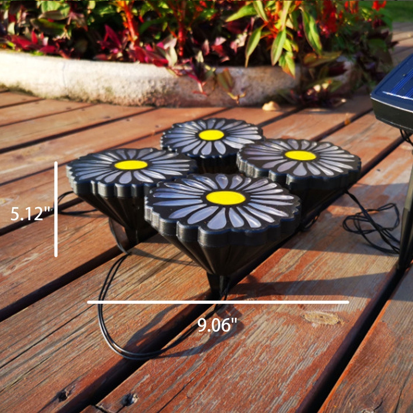 Daisy Solar String Lights