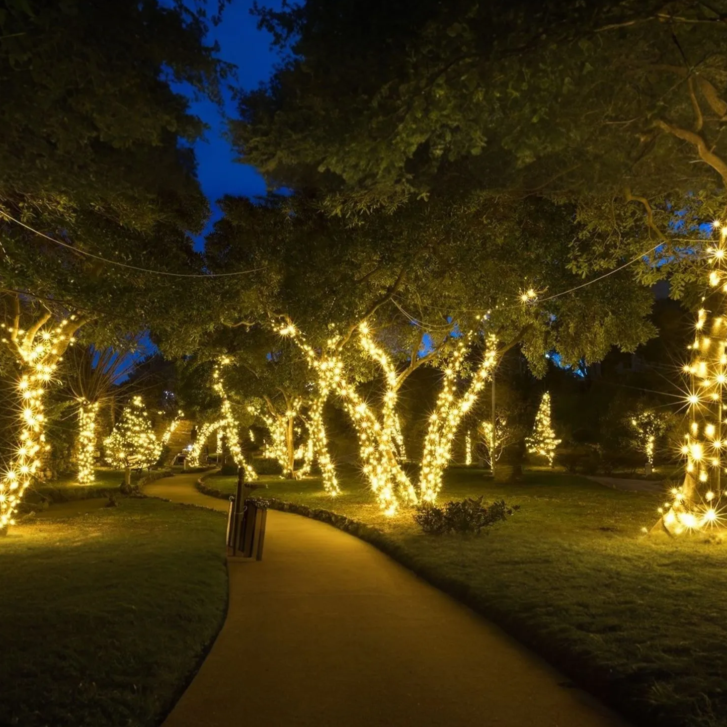 Solar LED Outdoor String Lights