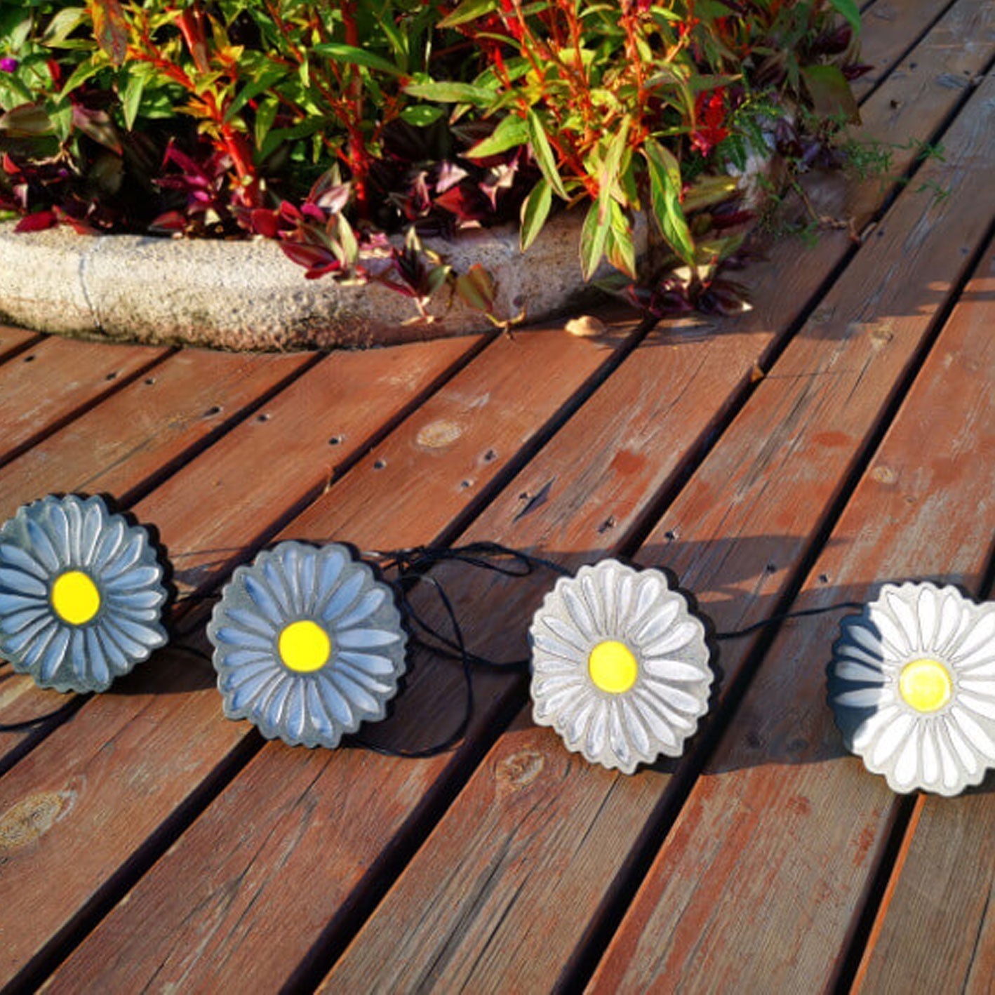 Daisy Solar String Lights