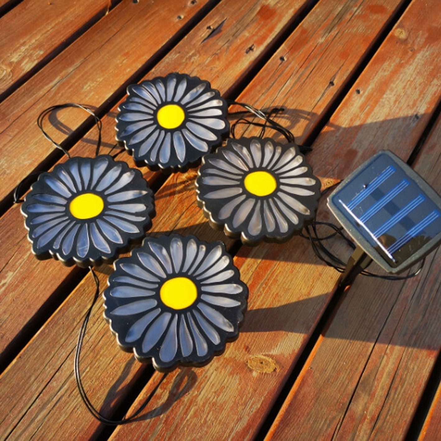 Daisy Solar String Lights