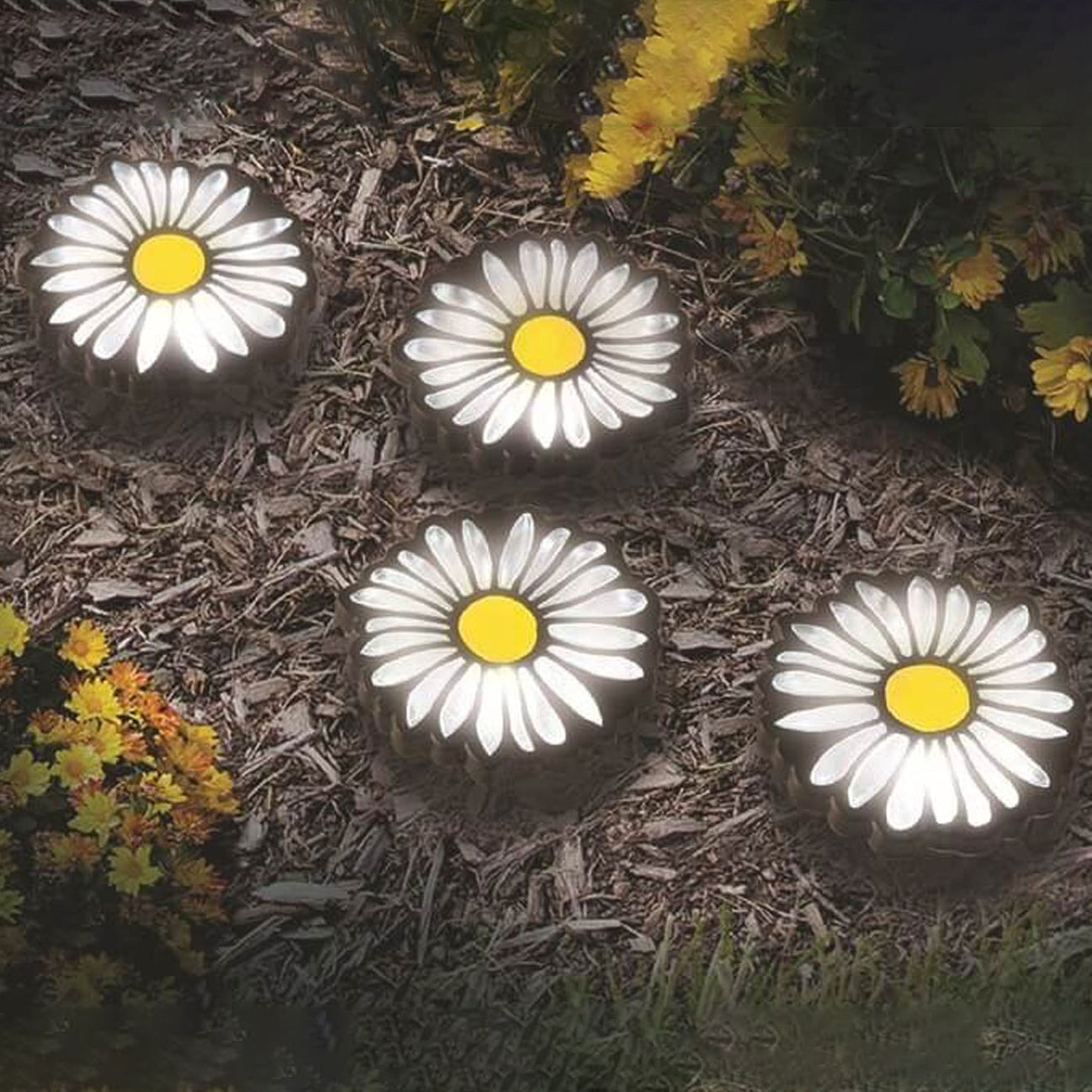 Daisy Solar String Lights