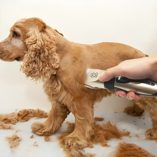 Fur Perfect Grooming Kit