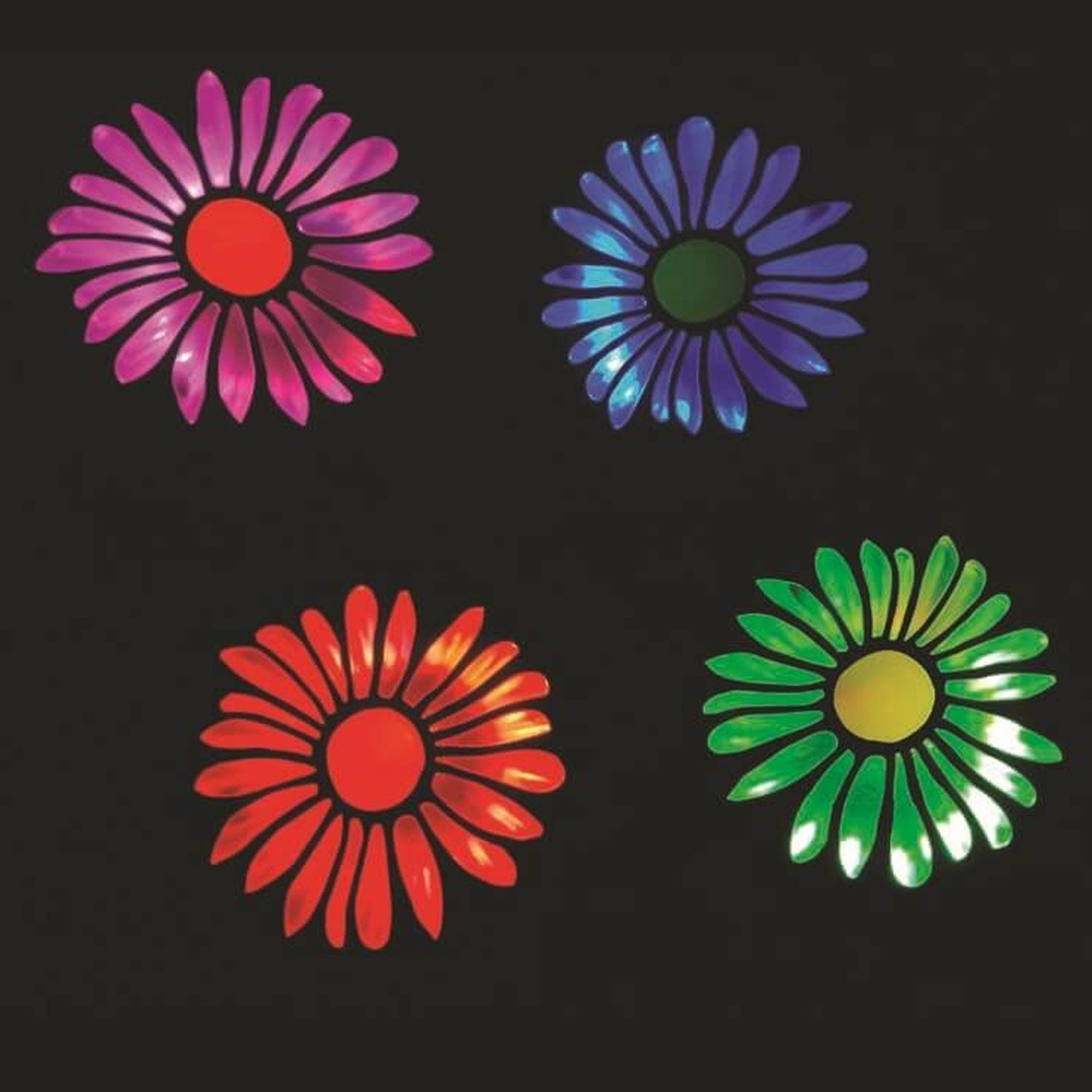 Daisy Solar String Lights