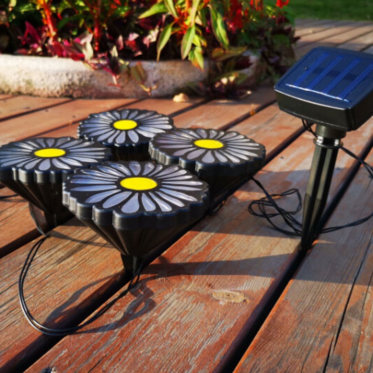 Daisy Solar String Lights