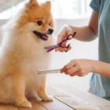 Fur Perfect Grooming Kit