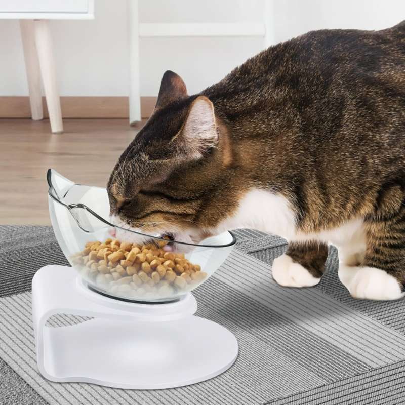 Anti-Vomiting Cat Feeder