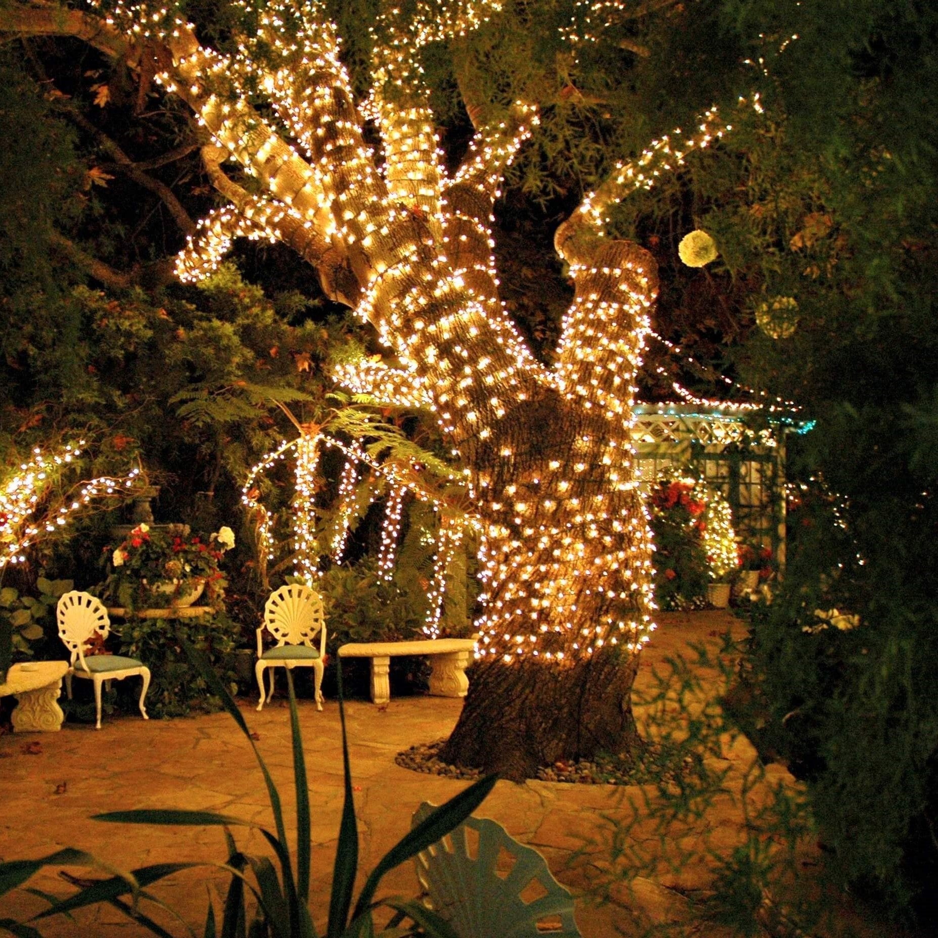 Solar LED Outdoor String Lights